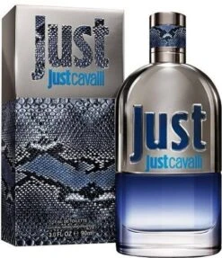Roberto Cavalli Just For Him 90 Ml - Eau De Toilette - Herenparfum -Damesparfum Winkel 1031x1200