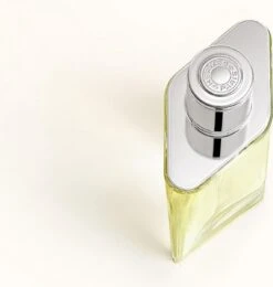 Hermes H24 Eau De Toilette Spray 100 Ml -Damesparfum Winkel 1142x1200 2