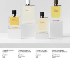 Hermès Terre D'Hermès 50ml - Eau De Toilette - Herenparfum -Damesparfum Winkel 1200x1014 1