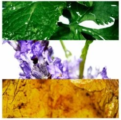 Davidoff Cool Water 200 Ml - Eau De Toilette - Herenparfum -Damesparfum Winkel 1200x1186 2