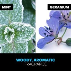 Adidas Ice Dive - 100ml - Eau De Toilette 18 Adidas Ice Dive - 100ml - Eau De Toilette -Damesparfum Winkel 1200x1200 113