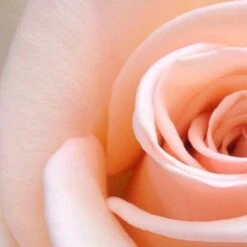 Spider-Man Eau De Toilette Spray - 100 Ml - Parfum Voor Kinderen -Damesparfum Winkel 1200x1200 292