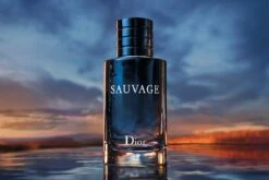 Dior Sauvage 100 Ml - Eau De Toilette - Herenparfum -Damesparfum Winkel 1200x800 12