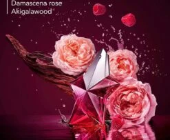 Thierry Mugler Angel Nova 50 Ml - Eau De Parfum - Damesparfum -Damesparfum Winkel 1200x987