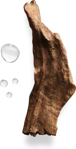 Giorgio Armani Acqua Di Gio Absolu 75ml - Eau De Parfum - Herenparfum -Damesparfum Winkel 616x1200