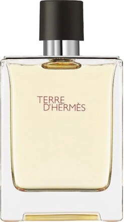 Hermes Terre D'Hermes 100 Ml - Eau De Toilette - Herenparfum 19 Hermes Terre D'Hermes 100 Ml - Eau De Toilette - Herenparfum -Damesparfum Winkel 667x1200 1