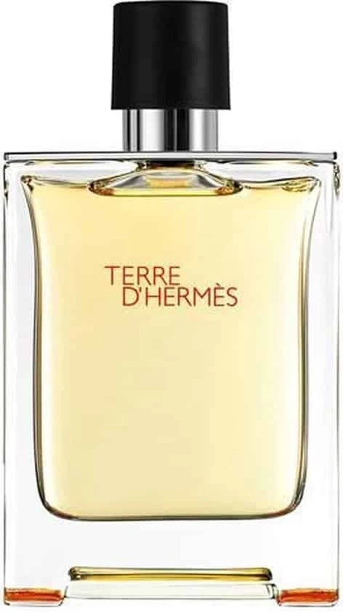 Hermes Terre D'Hermes 100 Ml - Eau De Toilette - Herenparfum 5 Hermes Terre D'Hermes 100 Ml - Eau De Toilette - Herenparfum - Afbeelding 3
