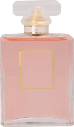 Chanel Coco Mademoiselle 100 Ml - Eau De Parfum - Damesparfum -Damesparfum Winkel 700x1200 1