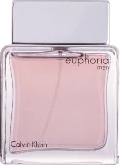 Calvin Klein Euphoria 100 Ml - Eau De Toilette - Herenparfum -Damesparfum Winkel 877x1200